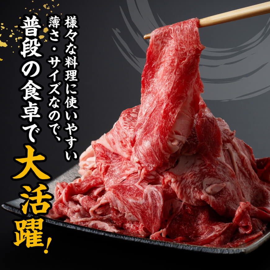宮崎 牛切り落とし 1kg【 肉 牛肉 国産 宮崎県産 黒毛和牛 和牛 切り落とし 】[D11419]