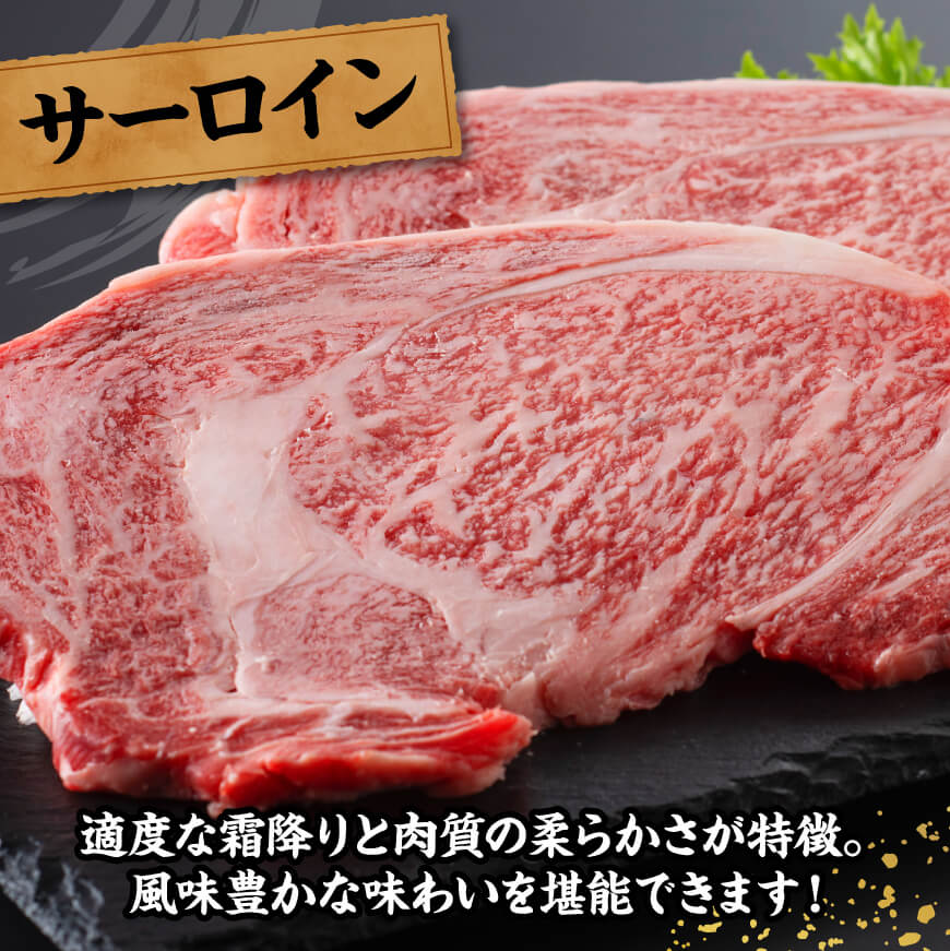 宮崎牛 サーロインステーキ 600g 【 肉 牛肉 国産 宮崎県産 黒毛和牛 サーロインステーキ 】[C11408]