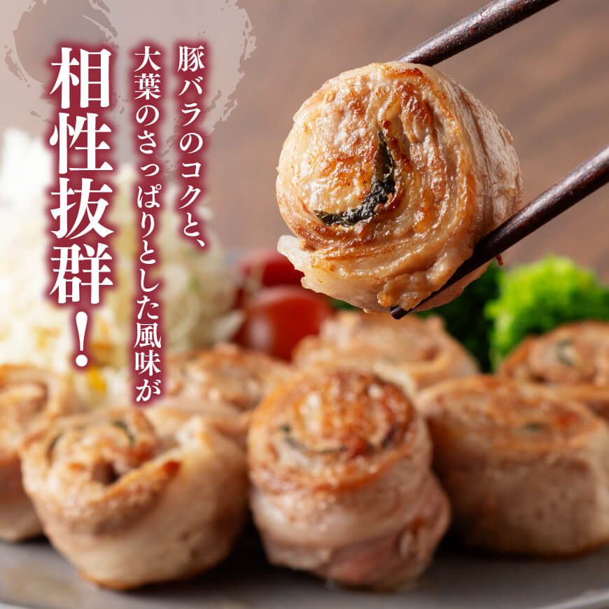 【豚肉】「まるみ豚」宮崎県産豚肉時短セット 【肉 豚肉 ハンバーグ 総菜】 [D11504]