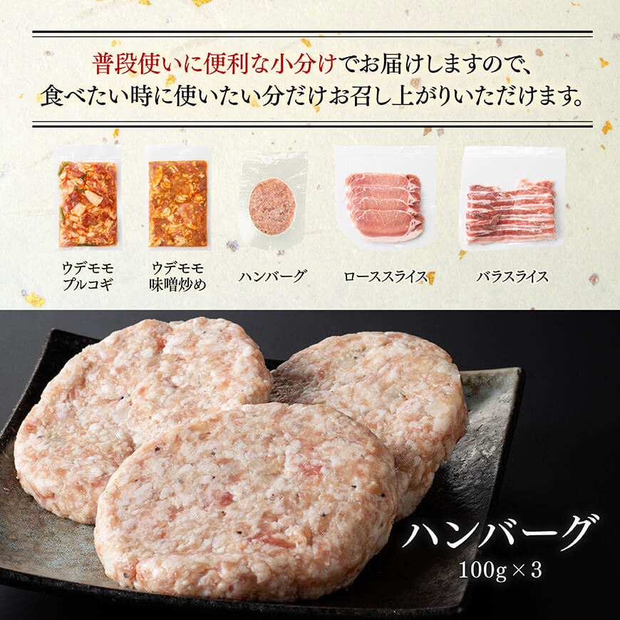 【豚肉】「まるみ豚」宮崎県産豚肉人気セット計1.1kg 【肉 豚肉 ハンバーグ すき焼き しゃぶしゃぶ 総菜】 [D11512]