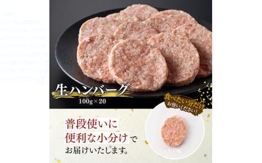 宮崎県産豚肉 「まるみ豚」 生ハンバーグセット計2kg（100g×20個） 【 肉 豚肉 国産 ハンバ―グ 弁当 おかず お手軽 真空パック 九州産 宮崎県産 川南町産 送料無料 】[D11518]