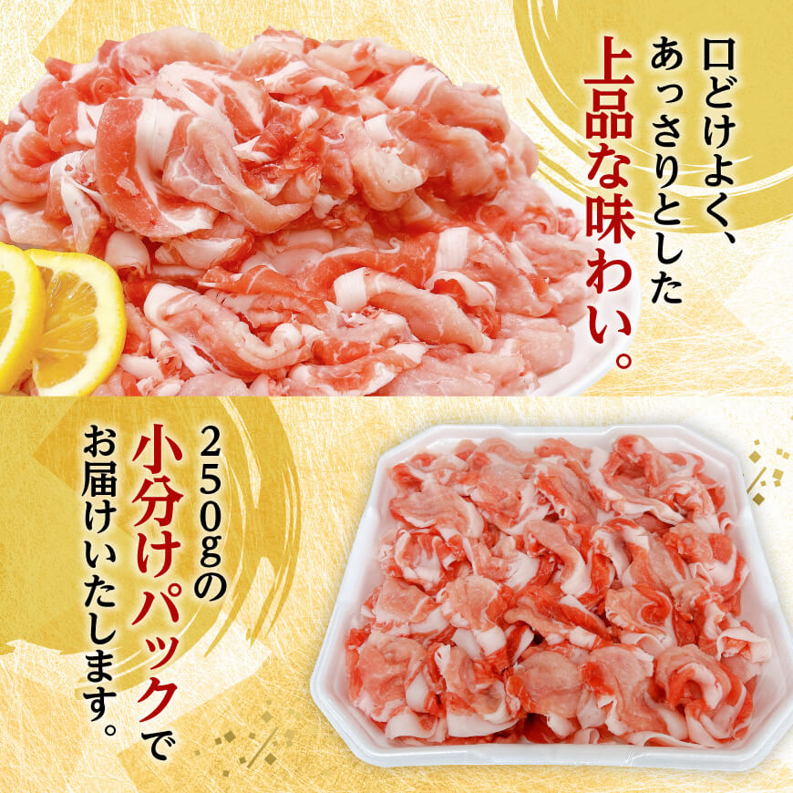 【小分け】宮崎県産豚肉切り落とし3.5kg（250g×14） 【 豚肉 豚 肉 宮崎県産 小分け パック 送料無料 】[C11630]