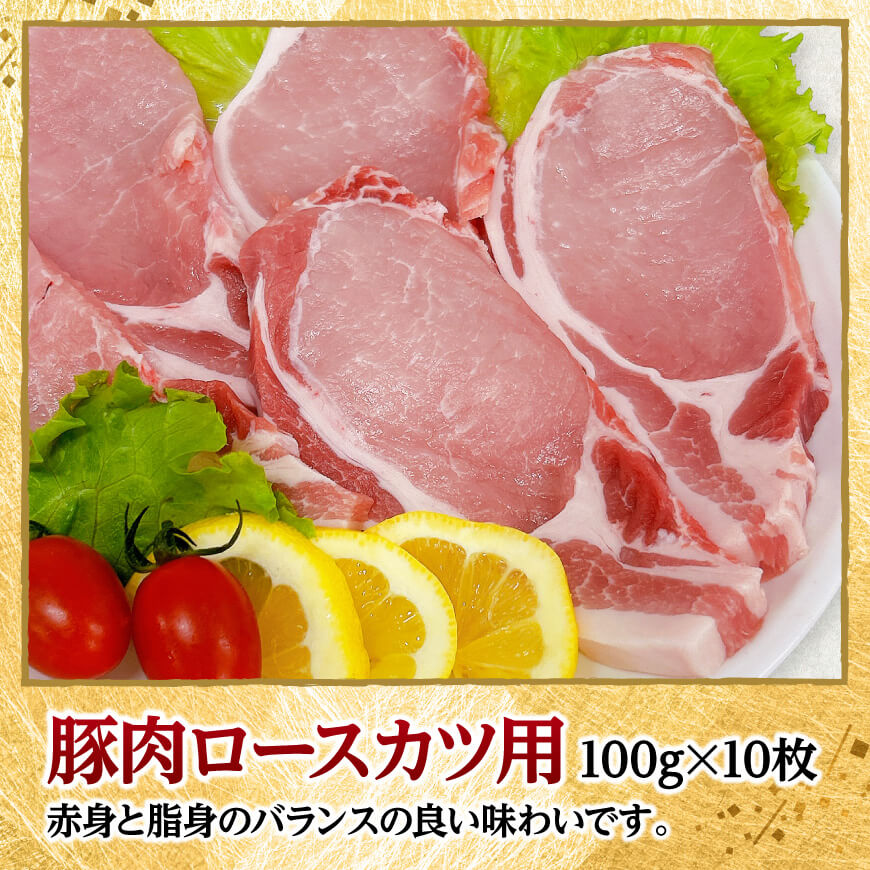 宮崎県産豚肉ロース・ヒレカツ1.3kg 【 豚肉 豚 肉 宮崎県産 ロースカツ ヒレカツ 送料無料 】[D11605]