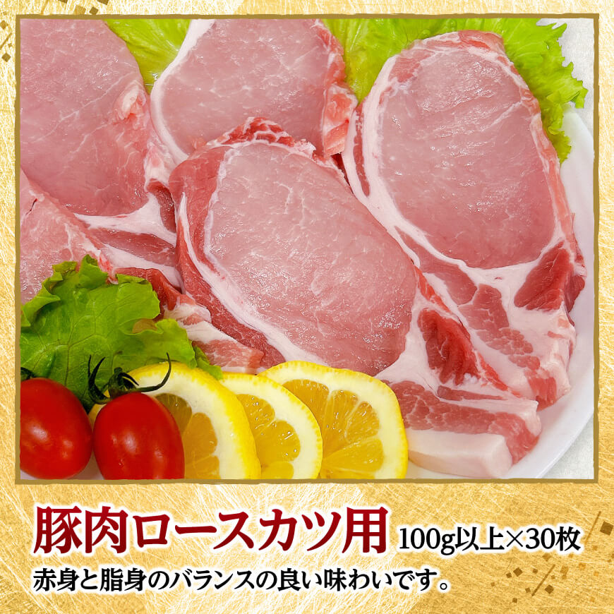 宮崎県産豚肉　ロースとんかつ用（100g以上×30枚） 【 豚肉 豚 肉 宮崎県産 ロースカツ 送料無料 】[C11620]