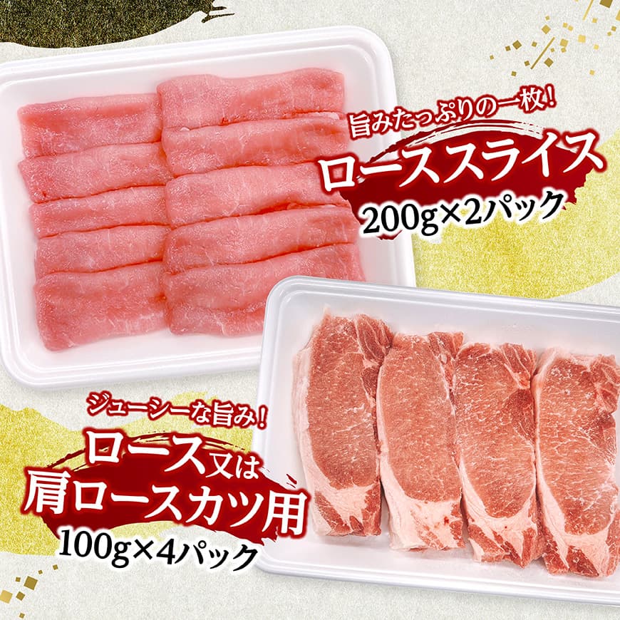 宮崎県産豚肉5種　3kg 【 豚肉 ぶた肉 肉 ロース バラ 切り落とし ミンチ 焼肉用 豚肉セット 】[C11627]