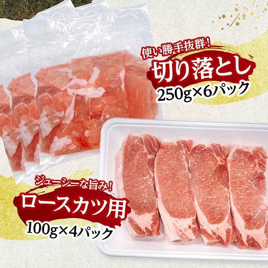 宮崎県産豚肉5種　3.2kg 【 豚肉 ぶた肉 肉 ロース バラ 切り落とし ミンチ 焼肉用 しゃぶしゃぶ 豚肉セット 】[C11628]
