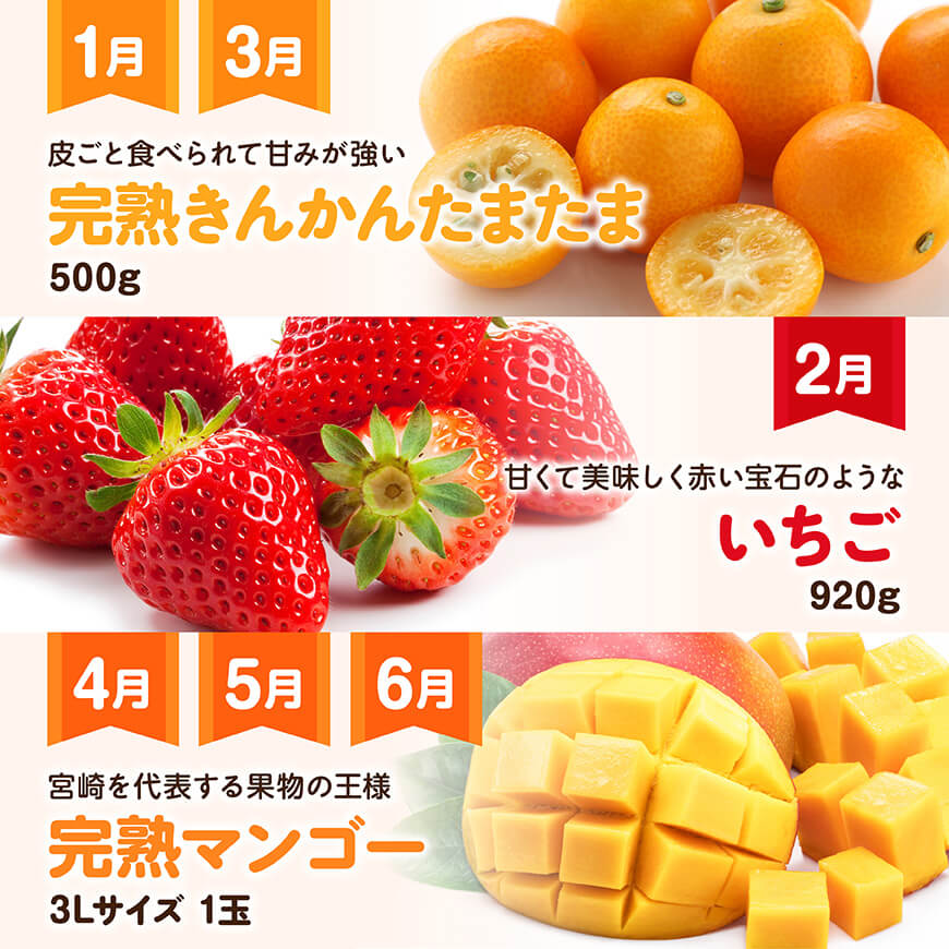 【12ヶ月定期便】デラックス定期便　川南町産フルーツくだものフルーツきんかんくだものフルーツいちご果物フルーツ完熟マンゴー果物フルーツぶどうフルーツピオーネフルーツシャインマスカットフルーツ大玉メロンフルーツ[D11717t12]