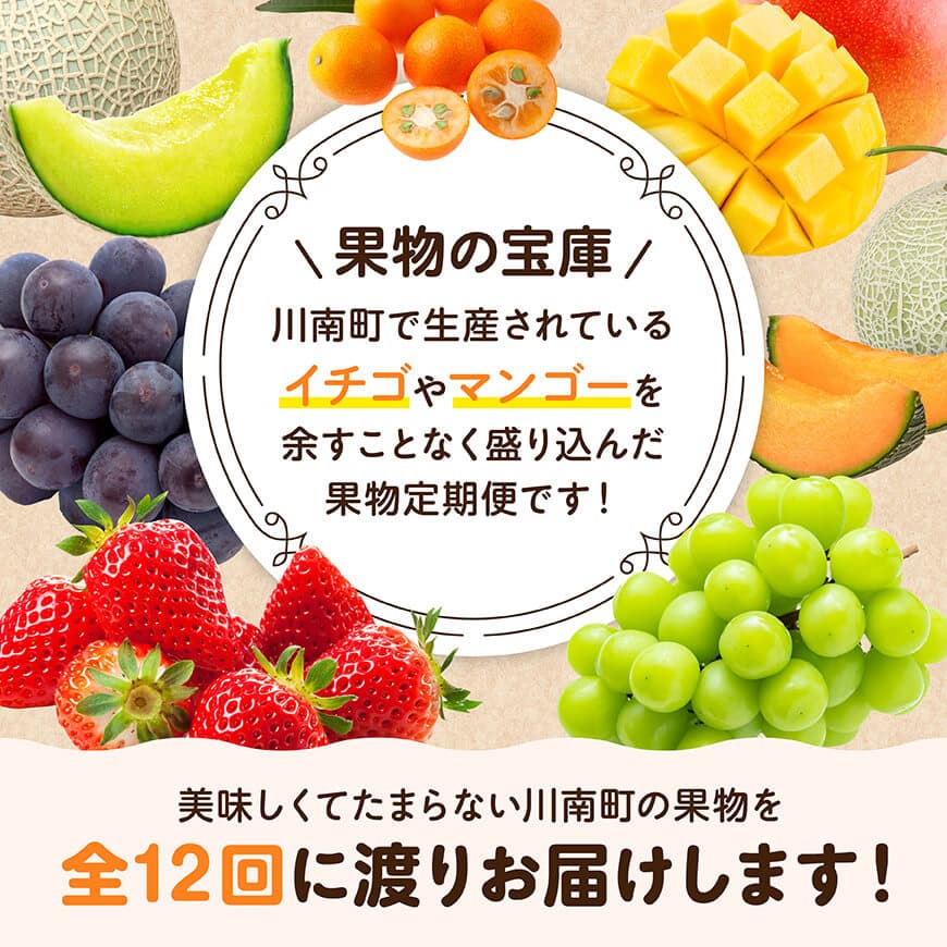 【12ヶ月定期便】超プレミアムデラックス定期便　川南町産フルーツくだものフルーツきんかんくだものフルーツいちご果物フルーツ完熟マンゴー果物フルーツぶどうフルーツピオーネフルーツシャインフルーツマスカットフルーツ大玉メロン[D11718t12]
