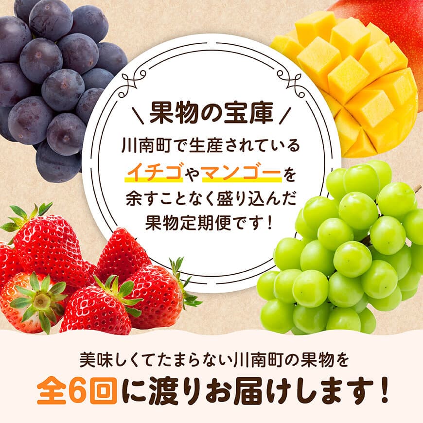 【全6回定期便】【いいとこどり】大人気くだもの定期便　川南町産フルーツくだものいちごフルーツくだもの完熟マンゴーフルーツ果物ぶどうフルーツ果物ビオーネフルーツシャインフルーツマスカットフルーツ[D11704t6]