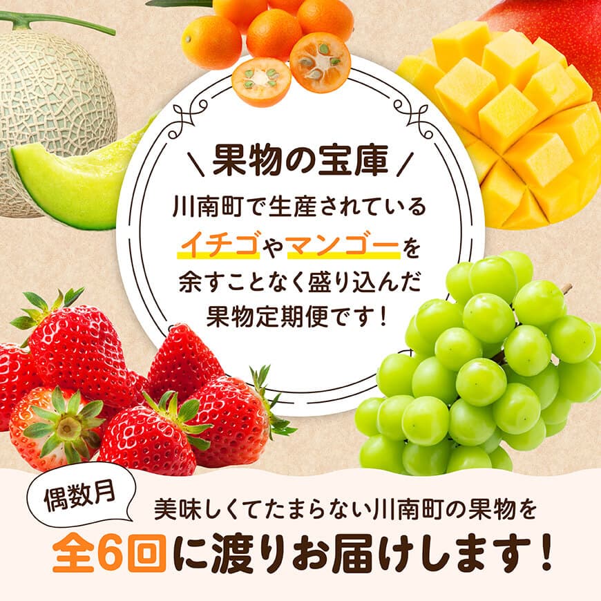 【全6回定期便】デラックス定期便【偶数月】　川南町産フルーツきんかんくだものフルーツいちごくだものフルーツ完熟マンゴー果物フルーツぶどうフルーツシャインマスカット果物フルーツメロンフルーツ[D11705t6]