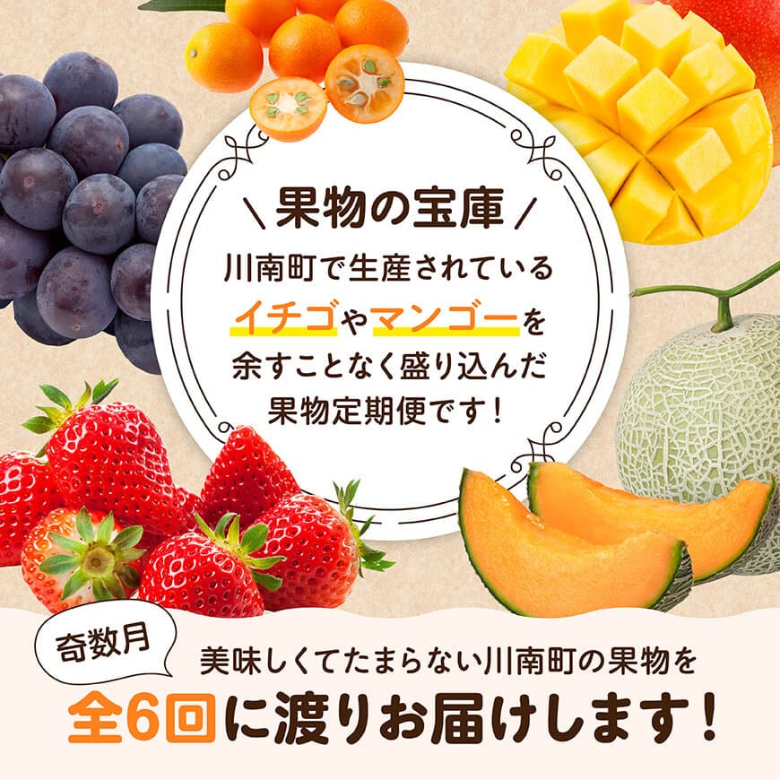 【全6回定期便】デラックス定期便【奇数月】　川南町産フルーツきんかんフルーツくだものいちごフルーツくだもの完熟マンゴーフルーツ果物ぶどうフルーツピオーネ果物フルーツ赤肉フルーツメロンフルーツ[D11706t6]