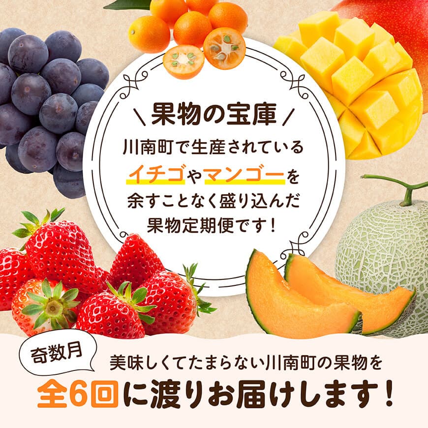 【全6回定期便】プレミアムデラックス定期便【奇数月】　川南町産フルーツきんかんくだものフルーツいちごくだものフルーツ完熟マンゴー果物フルーツぶどうフルーツピオーネフルーツ果物赤肉メロンフルーツ[D11716t6]