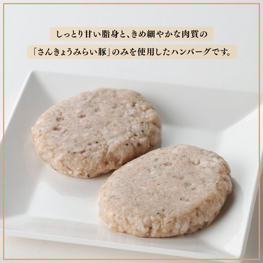【令和8年3月発送】さんきょうみらい豚 ”ふんわりやわらか” ハンバーグセット(90g×11P、ソース200g付) 【 豚肉 国産 肉 豚 おかず 惣菜 ハンバーグ 】 [D00101r803] 【令和8年3月発送】