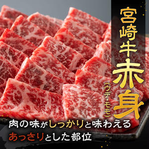 【令和8年3月発送】宮崎牛赤身霜降り焼肉2種 800g 【 肉 牛肉 国産 宮崎県産 宮崎牛 黒毛和牛 和牛 焼肉 BBQ 4等級 A4ランク 肩ロース ウデ モモ 】[E11124r803] 【令和8年3月発送】