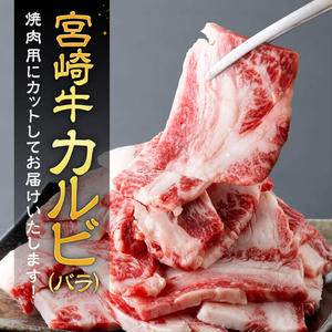 【令和8年2月発送】【訳あり】 宮崎牛カルビ焼肉＆塩だれ牛タン　計700g 【 肉 宮崎牛 カルビ 牛肉 牛たん たん 厚切り 塩ダレ 塩だれ タン 味付き BBQ 焼肉 焼き肉 焼くだけ おかず 簡単調理 】 [E11149r802] 【令和8年2月発送】
