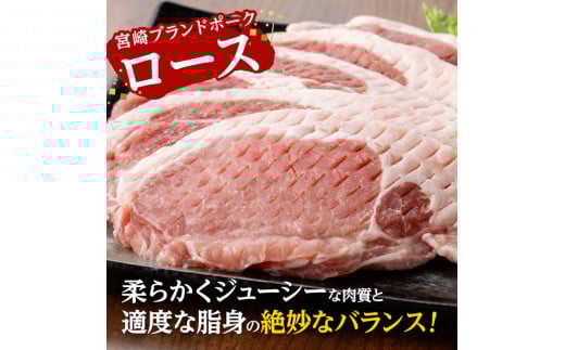 宮崎ブランドポーク ローストンテキ・とんかつ用カット 500g 九州産豚ぶた肉ロースとんかつトンテキおうちごはんおうち時間 [E11301]