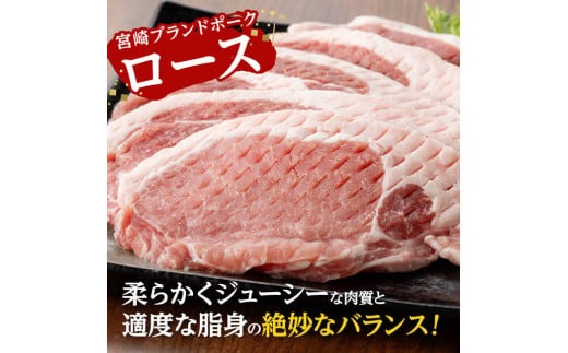 宮崎ブランドポーク ローストンテキ・とんかつ用カット 1kg 豚肉[E11302]: 川南町ANAのふるさと納税