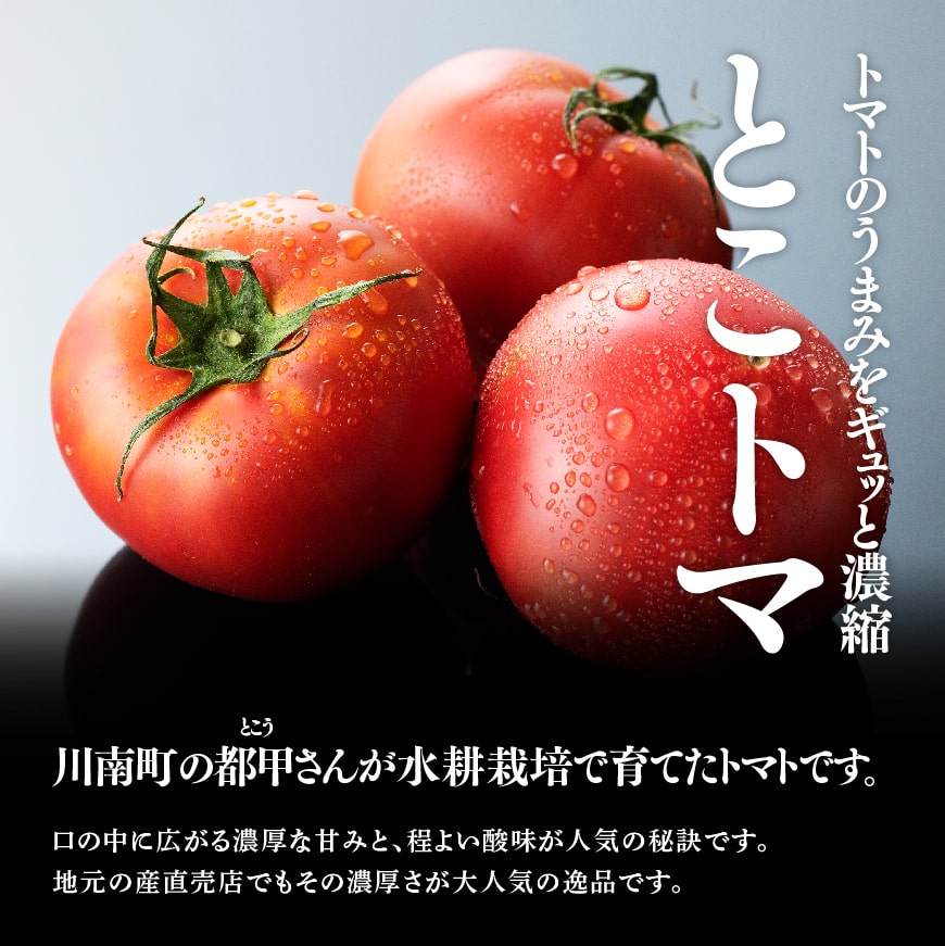 宮崎県産トマト　とこうさんのトマト1kg（9～18個）【 宮崎県産 九州産 川南町産 トマト とまと 野菜 ヘルシー】 [C06601]