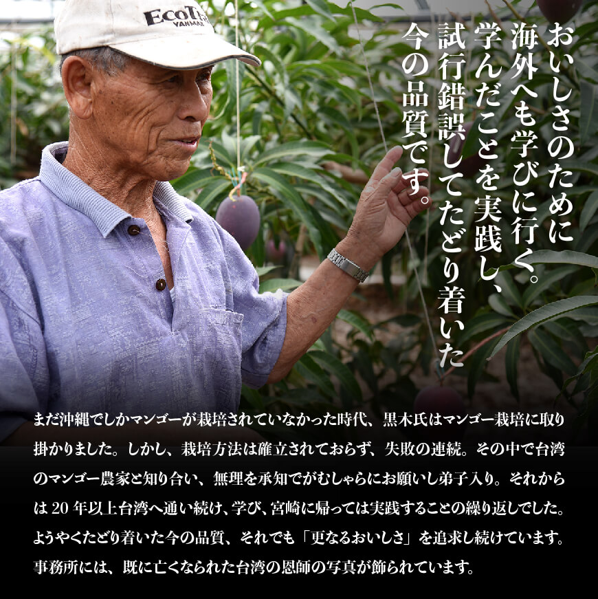 【令和8年発送】宮崎マンゴー 太陽の子３玉（1kg以上） 【 果物 くだもの フルーツ 宮崎マンゴー 】 [C06702]