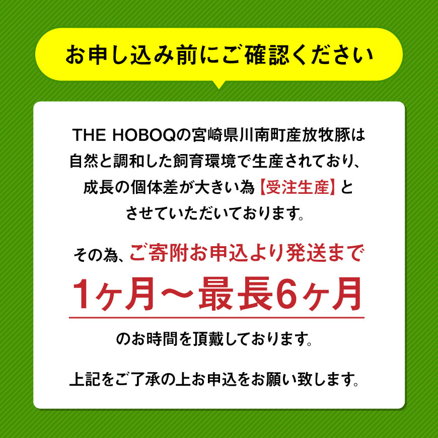 【小分け！】宮崎県産豚肉　放牧豚こま切れ　10袋(計2.5㎏)　豚肉[C08105]