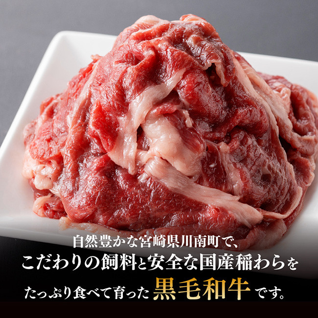 宮崎県産黒毛和牛 切り落とし 600g 【 肉 牛肉 黒毛和牛 精肉 】 [G0511]