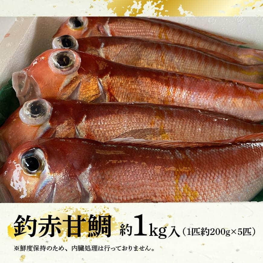 『釣赤甘鯛 C』_鮮魚さかな九州宮崎川南町新鮮魚介海の幸魚介類たい送料無料魚介 [D04410]