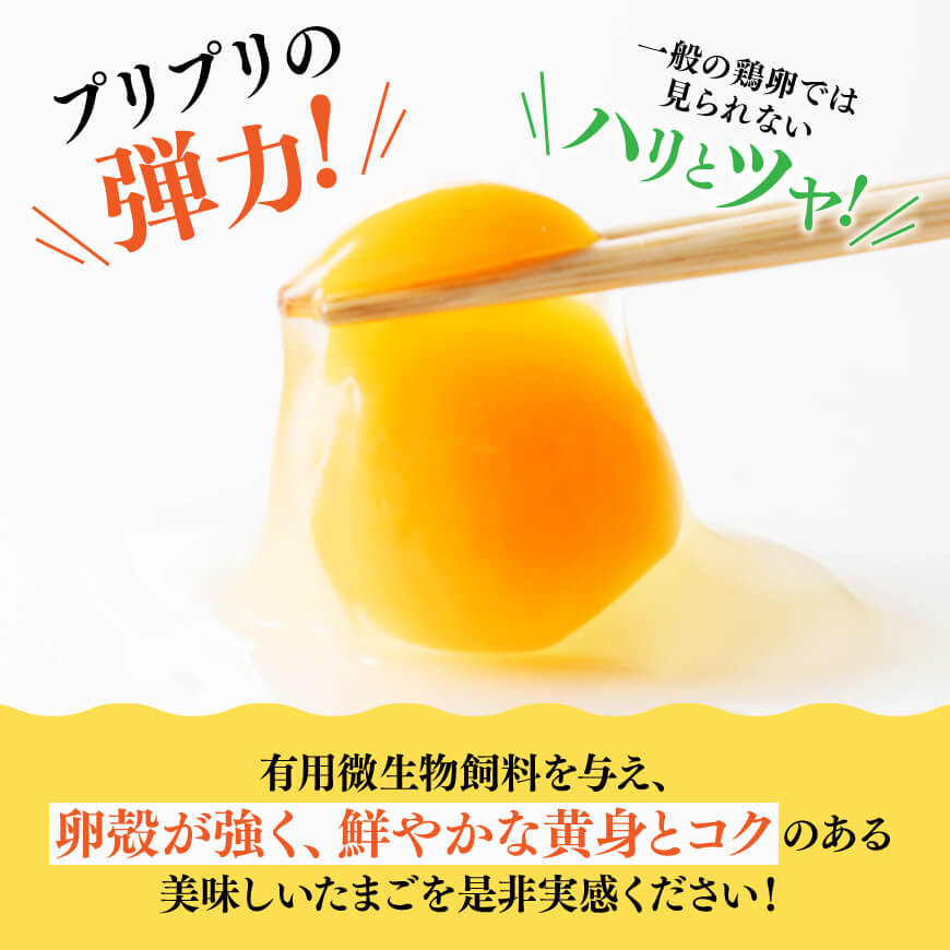 鮮々生々セット【卵 たまご 新鮮 生卵 タマゴ おうち時間】[H1403]