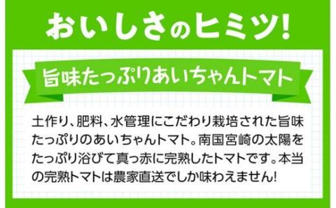 【令和8年発送】【訳あり】宮崎県産トマト　フルーツトマト「あいちゃん」3kg 【 野菜 ミニトマト とまと 宮崎県産 川南町産 野菜 産地直送 新鮮 数量限定 】[C03903]