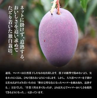 【令和8年発送】宮崎マンゴー 太陽の子６玉（2.7kg以上） 【 果物 フルーツ マンゴー 宮崎県産 みやざきマンゴー 】 [C06703]