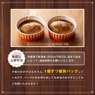 まちの洋食屋さんのハンバーグ「ジュ―！のハンバーグ」５種×２個セット 【 小分け お弁当 簡単調理 お手軽 10セット おかず 惣菜 】[C01202]