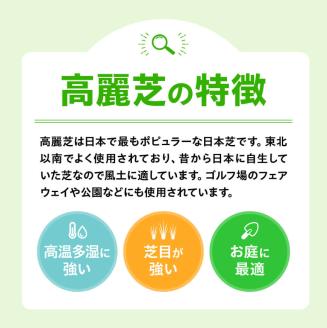 老舗日向芝産「高麗芝」2平方メートル 【 九州産 川南町産 宮崎県産 芝生 日本芝 ガーデニング 】[F10301]