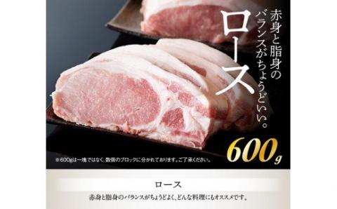 川南ポーク４種セット計2.4ｋｇ 【 宮崎県産 川南町産 豚肉 肉 真空急速冷凍 送料無料 】 [E5006]