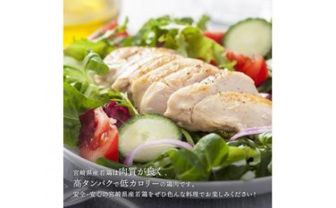 宮崎県産若鶏　むね肉約6kg（1枚ずつ小分け）　鶏肉[C07802]