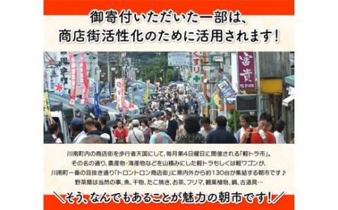 【3ヶ月定期便】宮崎県産若鶏　日南どり　もも肉＆むね肉　計4kg（各2㎏×1） 【 ふるさと納税 鶏肉 鶏 若鶏 もも むね セット 宮崎県産 川南町 おうち時間 おうちごはん 定期便 送料無料 】 [C05308t3]