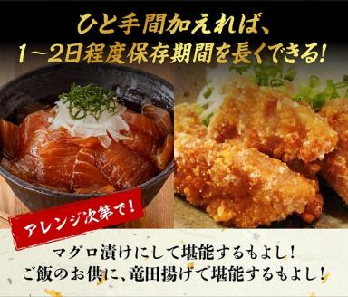 漁協直送！キハダマグロブロック（生）1kg 【 鮪 まぐろ 刺身 マグロ 漬け 新鮮 冷蔵 海の幸 魚介 送料無料 】 [H170801]