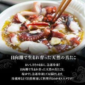 漁協直送！天然タコ（湯がき済）小分けで500g前後 【 たこ 蛸 海産物 日向灘 地どれ 】 [C01708]