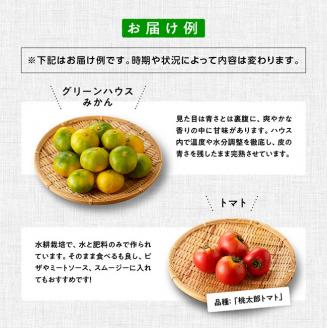 産直　おすず村　厳選詰め合わせセット（大） 【 旬野菜 フルーツ 直売所 産地直送 宮崎県産 】[G3803]