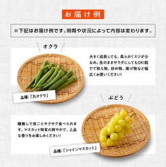 【定期便】産直おすず村 季節の野菜と果物 厳選 詰め合わせセット（小） 【 旬野菜 フルーツ 直売所 産地直送 宮崎県産 】[G3802]