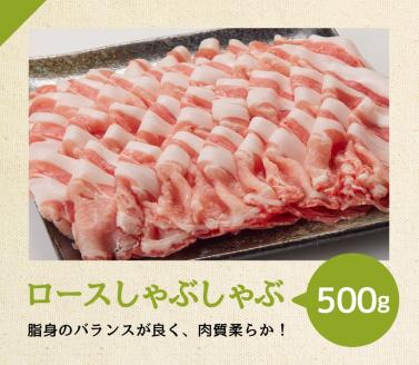 宮崎県産豚肉バラエティ4種セット2.5kg　豚肉[G7523]