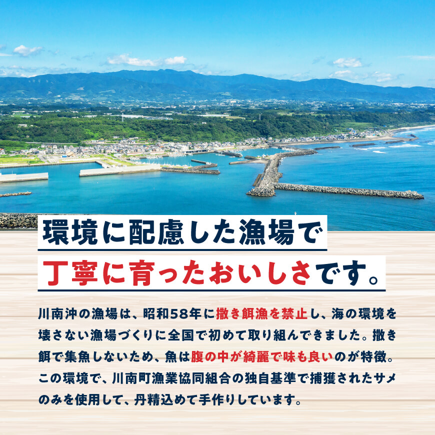 川南獲れフカ（鱶）使用！フカフカフライ　15パック 【 サメ フライ 時短 川南町 通浜直売所 九州 宮崎県 川南町 送料無料 】 [C01714] 15パック