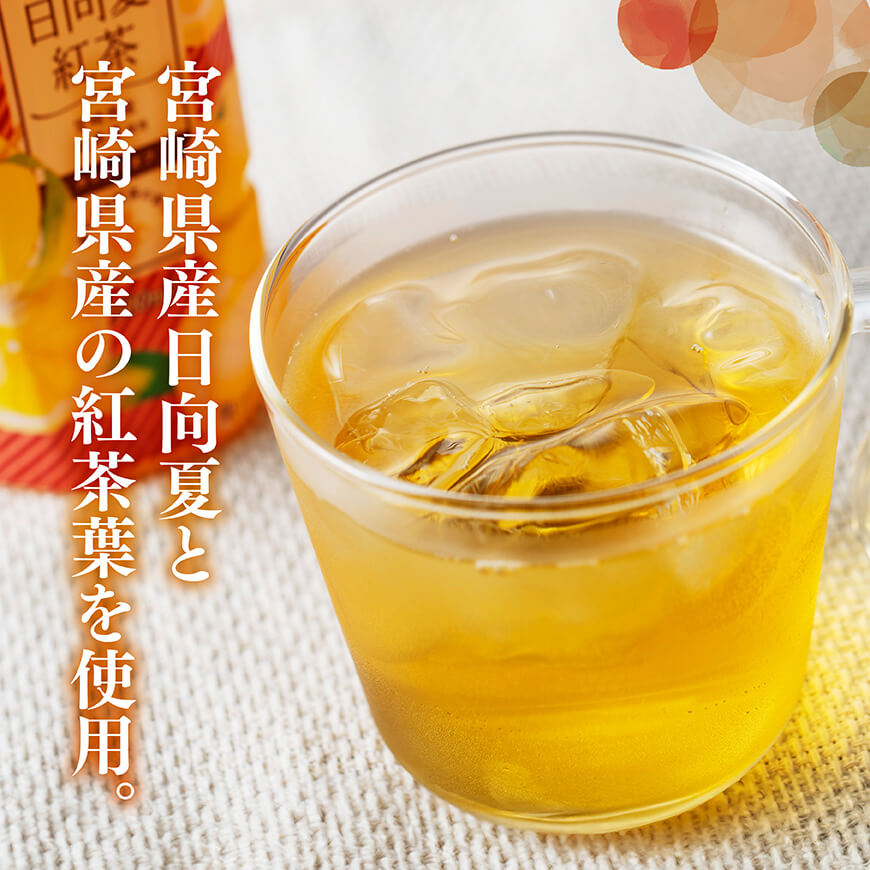 【3ヶ月定期便】サンA 日向夏 紅茶 HINATA TEA 500mlＰＥＴ 24本 入り×2ケース 【飲料 日向夏 紅茶 PET セット ジュース 長期保存 送料無料】 [C03014t3]