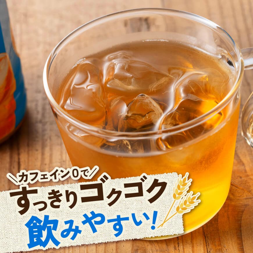 サンA宮崎のむぎ茶　500ml PET×18本 【 飲料 お茶 麦茶 宮崎県産 ペットボトル  】 [C03021]