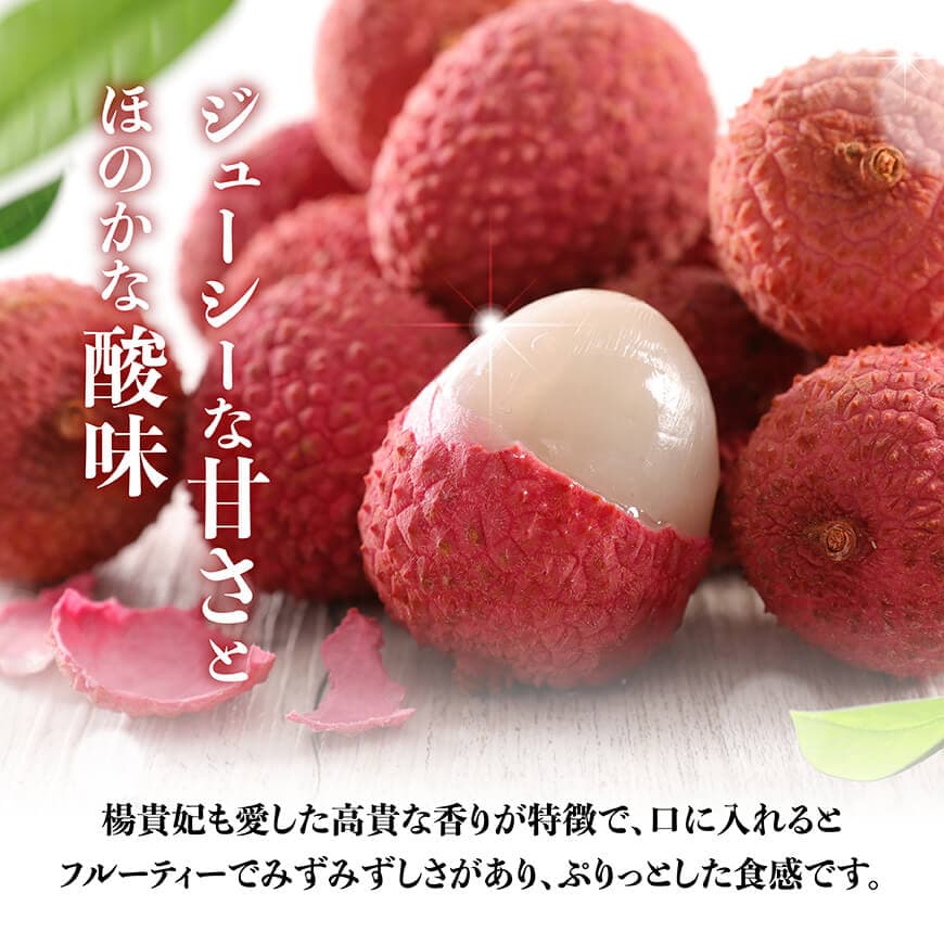 【令和8年産】川南町産ライチ（大粒）10粒(5粒×2パック) 【 国産ライチ フルーツ デザート 宮崎県産 】 [C03203]
