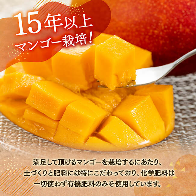 宮崎県産完熟マンゴー（果実の宝石）　ドライマンゴー2袋 【 宮崎県産 川南町 マンゴー ドライマンゴー 】[C03711] 40g×2袋
