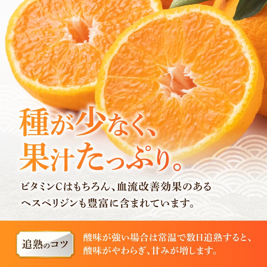 宮崎県川南町産「不知火（しらぬい）」６～１０玉 【 果物 くだもの フルーツ しらぬい 不知火 デコポン みかん 】 [C06705]