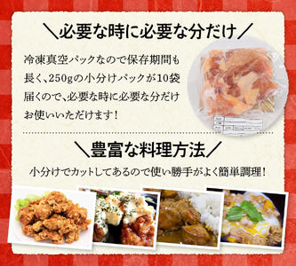 【令和8年1月発送】【小分け】宮崎県産若鶏　もも肉2.5kg（250g×10袋） 【 肉 鶏肉 精肉 小分け 便利 若鶏 もも 九州産 宮崎県産 川南町 おうちごはん 送料無料 】 [C06901r801] 令和8年1月発送分