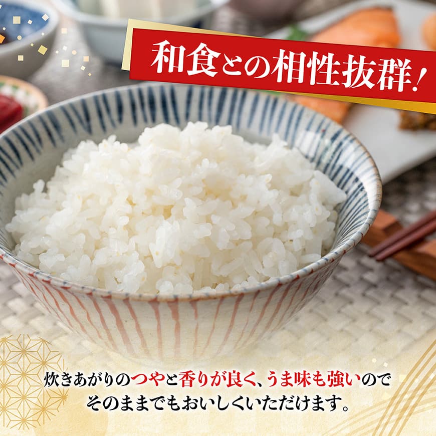 【令和7年産】宮崎県産米　村井農園産こしひかり（精米）2kg 【 米 お米 白米 精米 こしひかり 国産 宮崎県産 おにぎり 】[C10003]