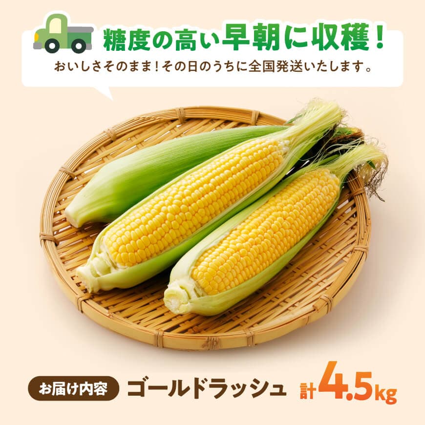 【令和8年発送】黒木さんのゴールドラッシュ4.5kg 【 数量限定 季節限定 産地直送 とうもろこし コーン とうきび 野菜 】[C10902]