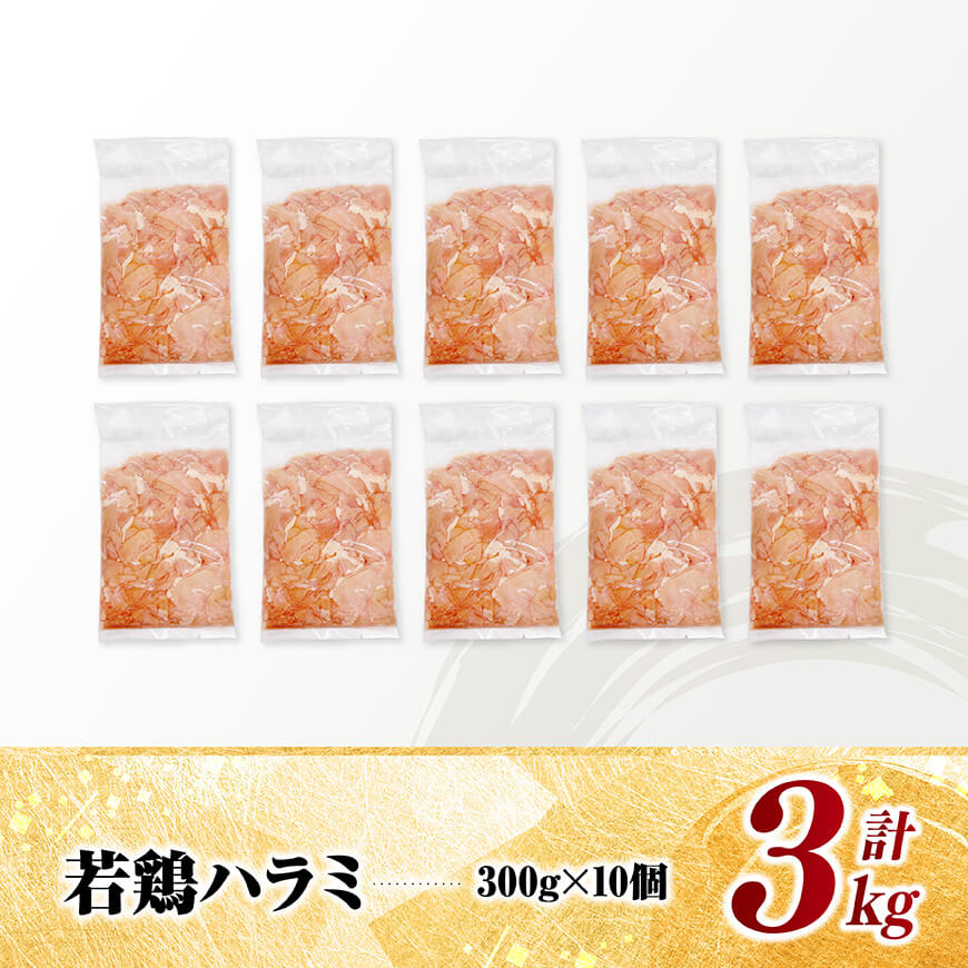 宮崎県産若鶏　ハラミ3kg（300g×10） 【 鶏肉 鶏 ハラミ 肉 宮崎県産 小分け パック 送料無料 】 [C11605]