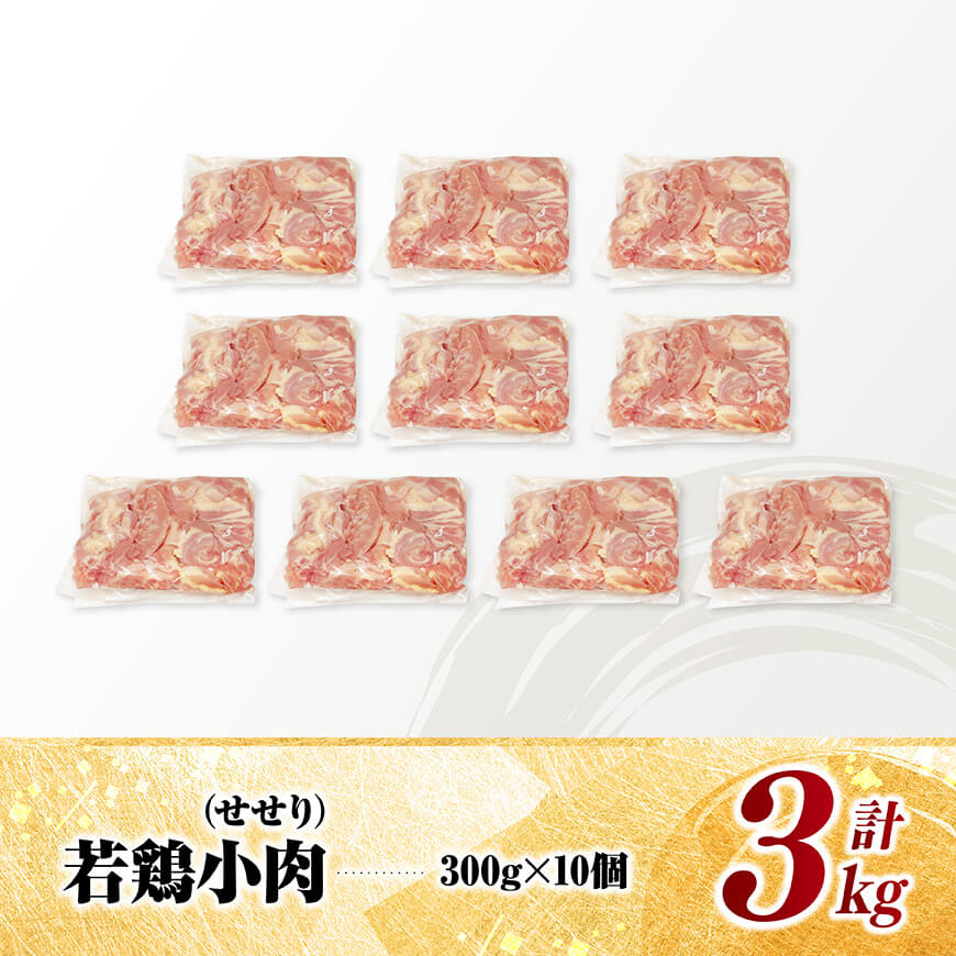 宮崎県産若鶏　小肉(せせり)3㎏（300g×10） 【 鶏肉 鶏 小肉 せせり 肉 宮崎県産 小分け パック 送料無料 】 [C11606]